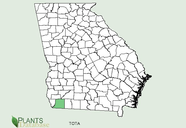 Only occurs 1 mile north of the Georgia-Florida border in Decatur County