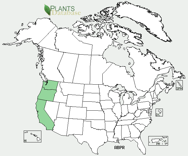 Abies procera is native to California, Oregon and Washington