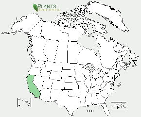 Coulter Pine distribution map USA, California only