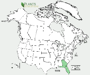 Torreya taxifolia is native only to Florida and and small area just over the border in Georgia