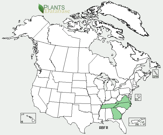 Abies fraseri is native to the Eastern United States and may be found in the higher elevations of Georgia, North Carolina, Tennessee and Virginia