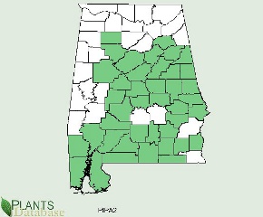 Distibuted throughout Alabama except along the western and northern border counties