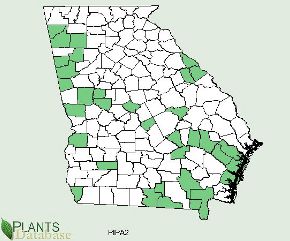 Longleaf Pine has scattered distribution thoughout Georgia