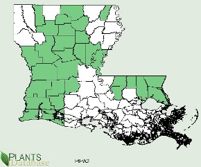 Distributed in almost all but the lowest elevation areas in south central Louisiana