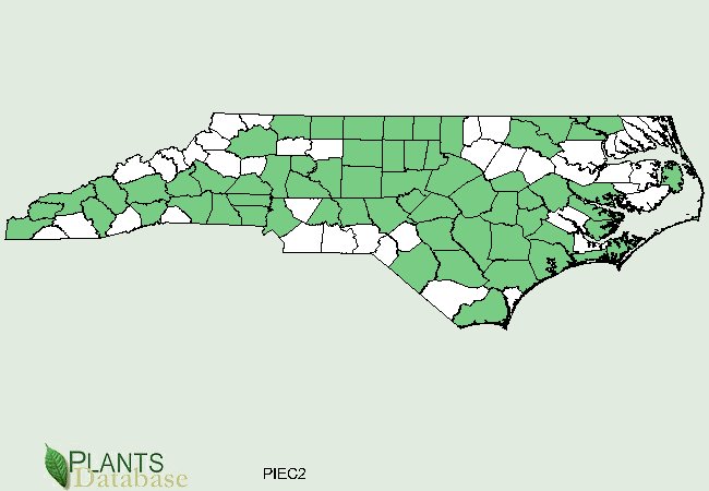 Pinus echinata is native to scattered counties throughout North Carolina with higher population concentrations in the center