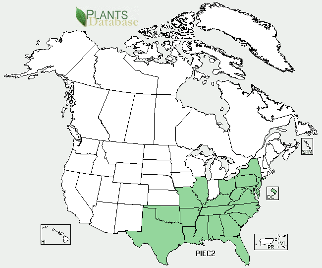 Pinus echinata native distribution is the majority of the eastern United States
